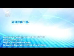 Sistema integrato decorativo & economizzatore d'energia di Joaboa di superficie ceramico del rivestimento